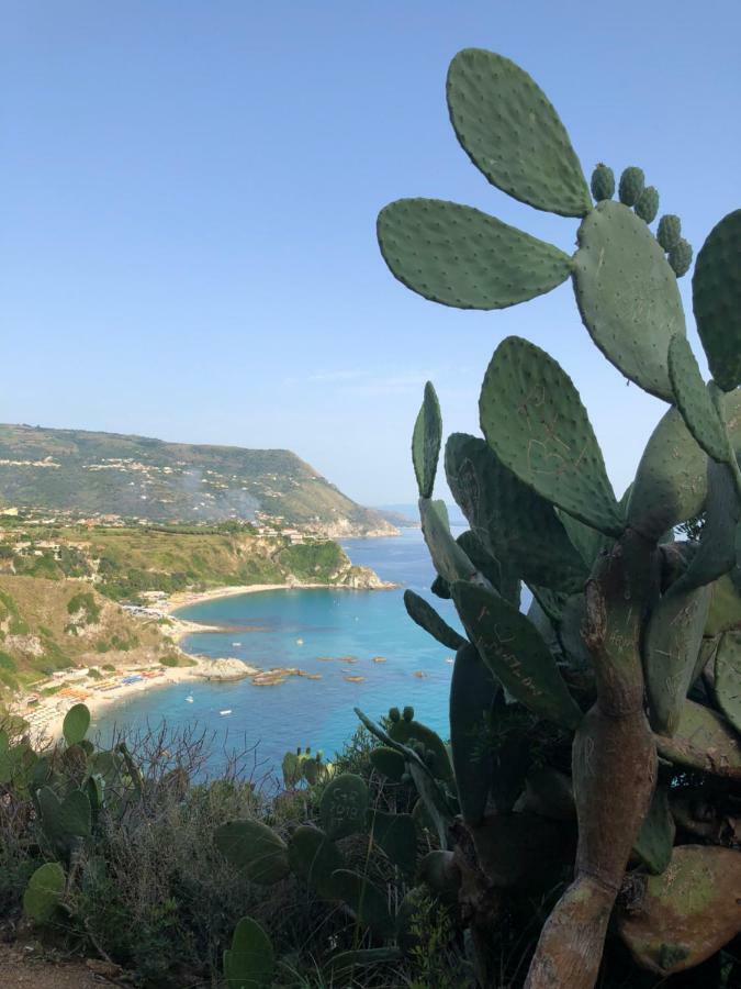 La Marinette Διαμέρισμα Tropea Εξωτερικό φωτογραφία